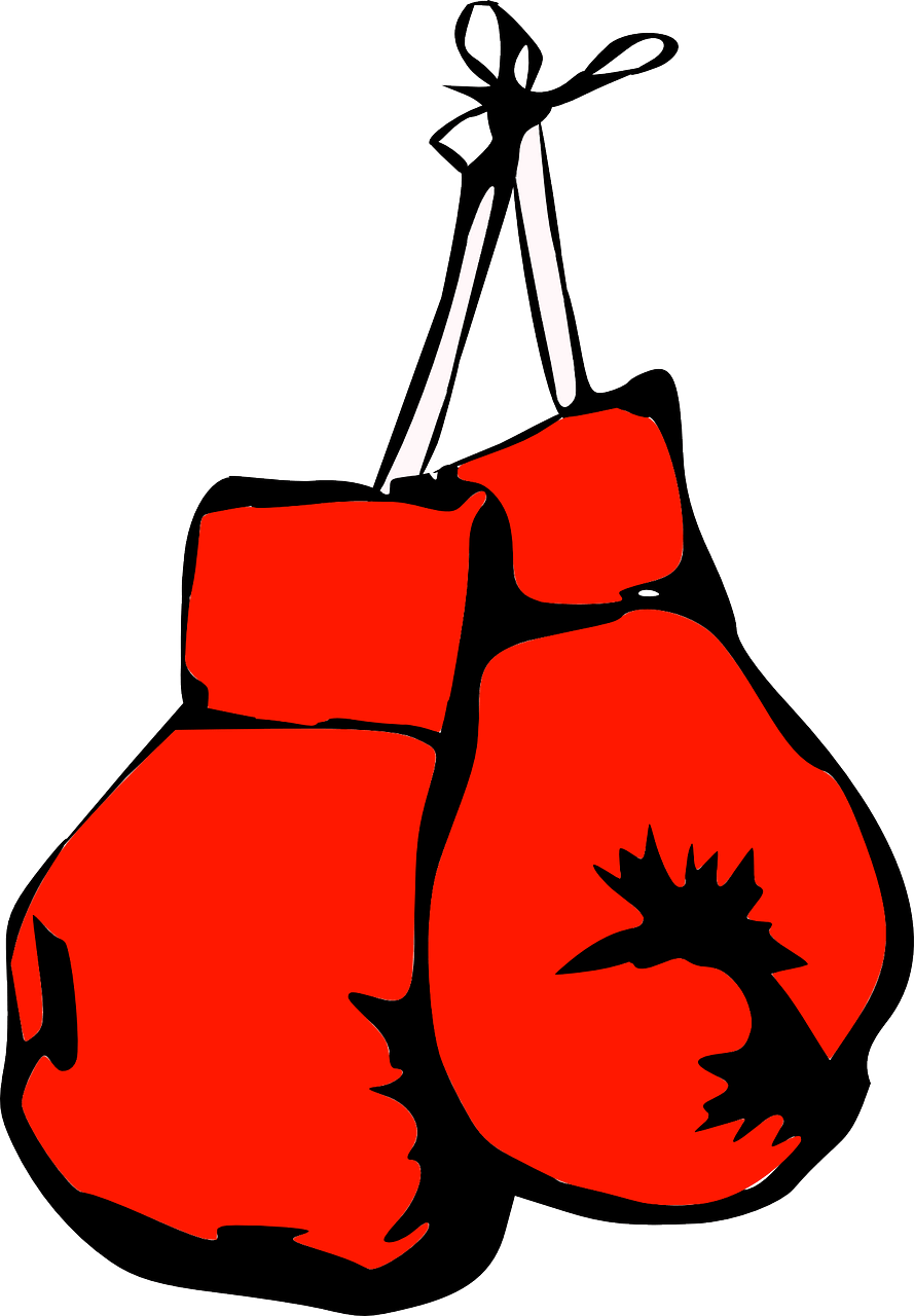 Logo Gants de Boxe